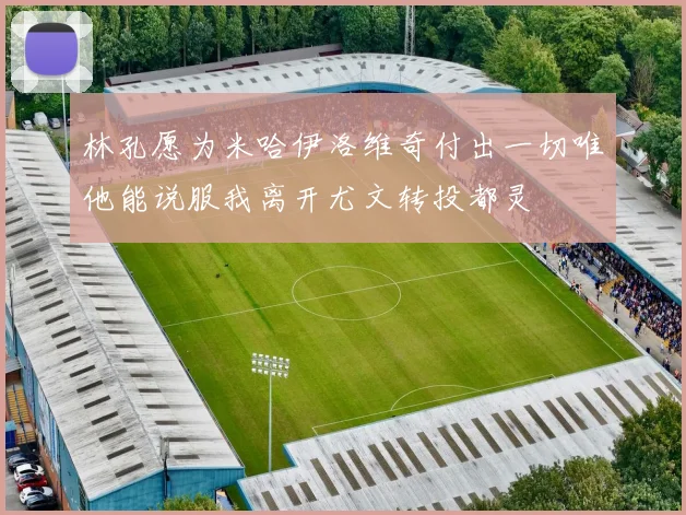 林孔愿为米哈伊洛维奇付出一切唯他能说服我离开尤文转投都灵